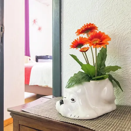 Casa vacanze Lovely In *